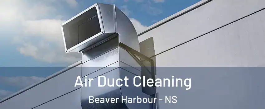  Air Duct Cleaning Beaver Harbour - NS
