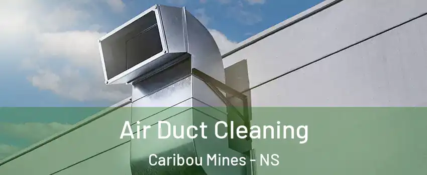  Air Duct Cleaning Caribou Mines - NS