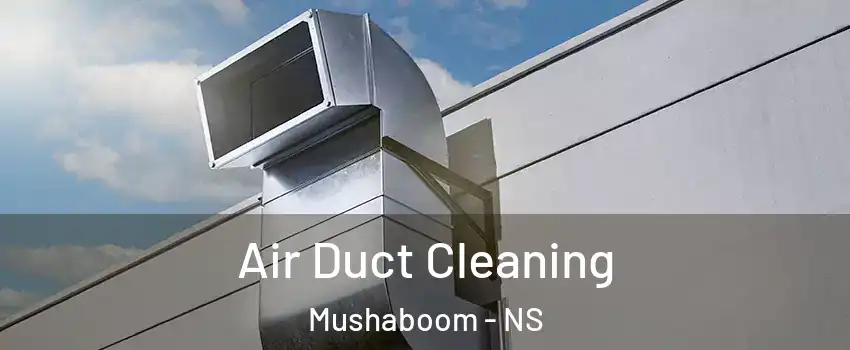  Air Duct Cleaning Mushaboom - NS