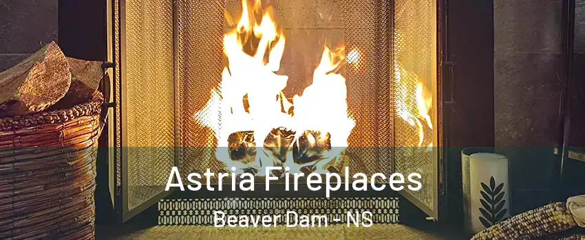  Astria Fireplaces Beaver Dam - NS
