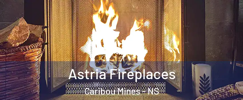  Astria Fireplaces Caribou Mines - NS