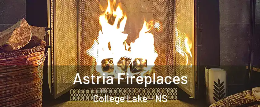  Astria Fireplaces College Lake - NS