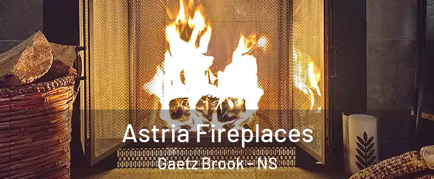  Astria Fireplaces Gaetz Brook - NS