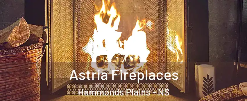  Astria Fireplaces Hammonds Plains - NS