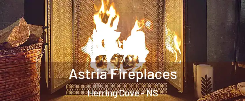 Astria Fireplaces Herring Cove - NS