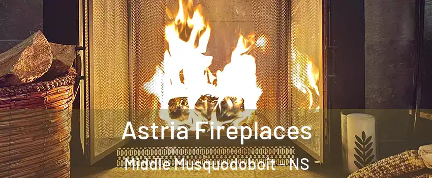  Astria Fireplaces Middle Musquodoboit - NS