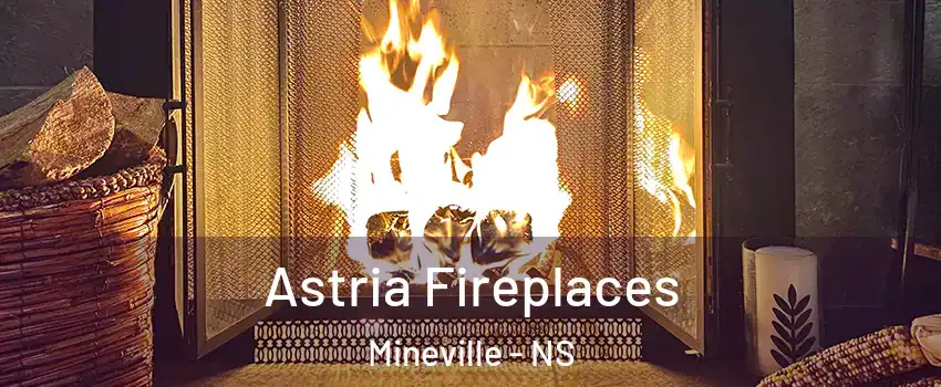  Astria Fireplaces Mineville - NS