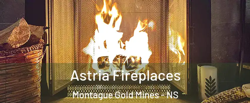  Astria Fireplaces Montague Gold Mines - NS