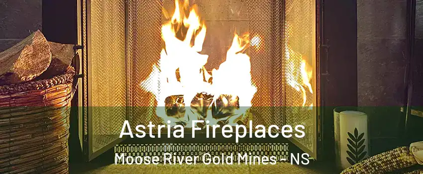  Astria Fireplaces Moose River Gold Mines - NS