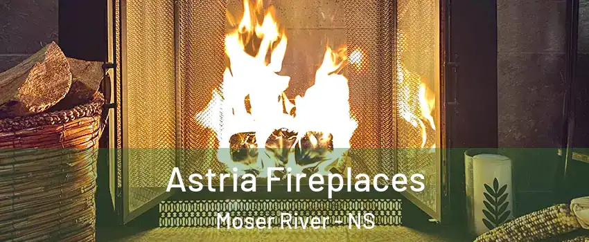  Astria Fireplaces Moser River - NS