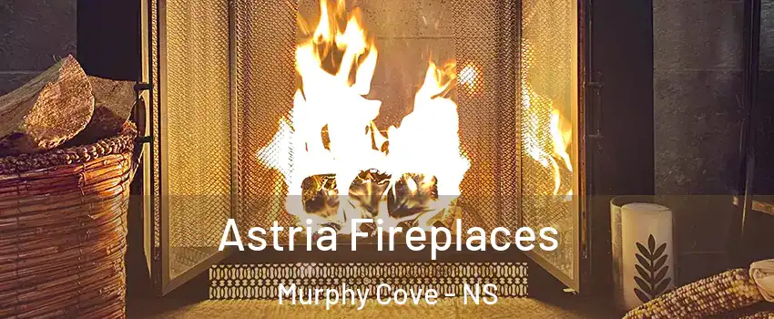  Astria Fireplaces Murphy Cove - NS