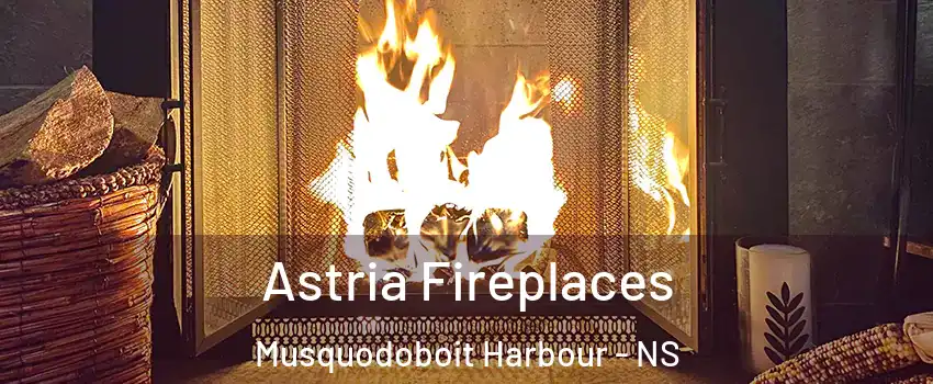  Astria Fireplaces Musquodoboit Harbour - NS