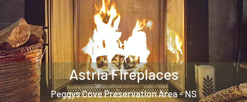  Astria Fireplaces Peggys Cove Preservation Area - NS