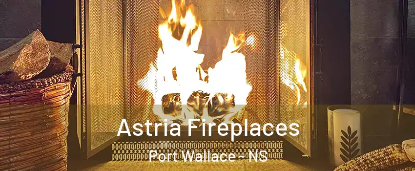  Astria Fireplaces Port Wallace - NS