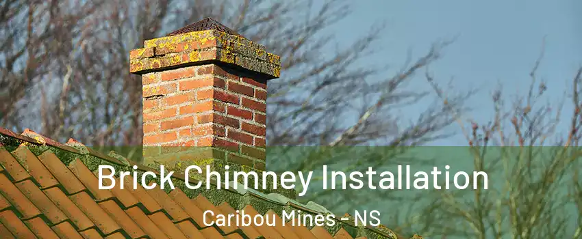  Brick Chimney Installation Caribou Mines - NS