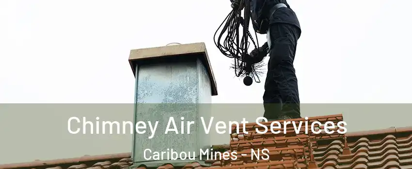  Chimney Air Vent Services Caribou Mines - NS