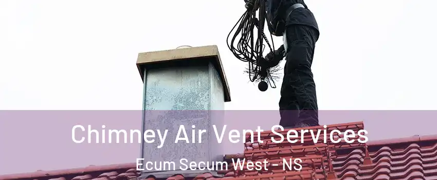  Chimney Air Vent Services Ecum Secum West - NS