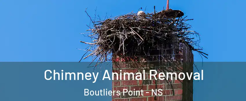 Chimney Animal Removal Boutliers Point - NS