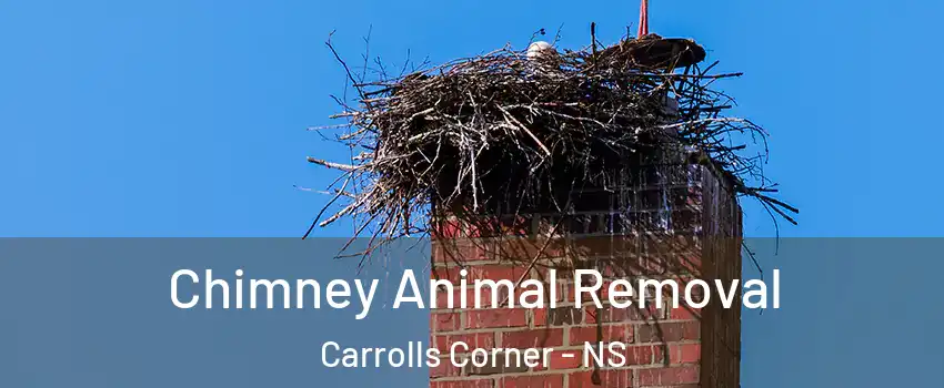 Chimney Animal Removal Carrolls Corner - NS