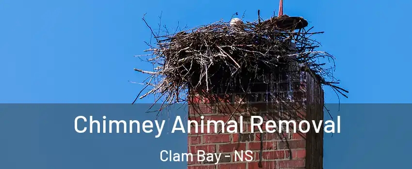 Chimney Animal Removal Clam Bay - NS