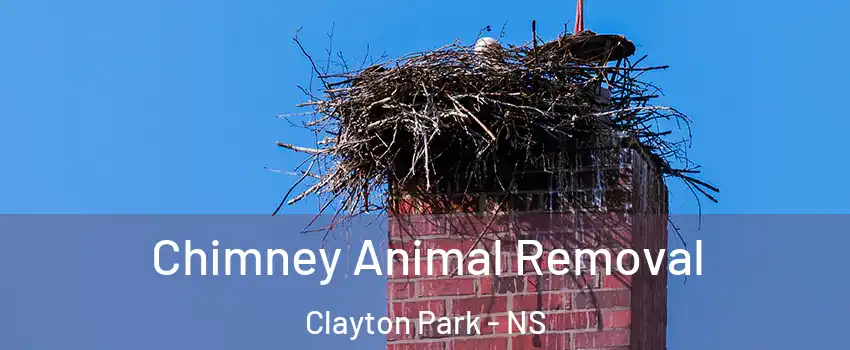 Chimney Animal Removal Clayton Park - NS