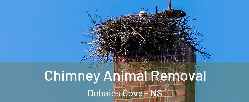 Chimney Animal Removal Debaies Cove - NS