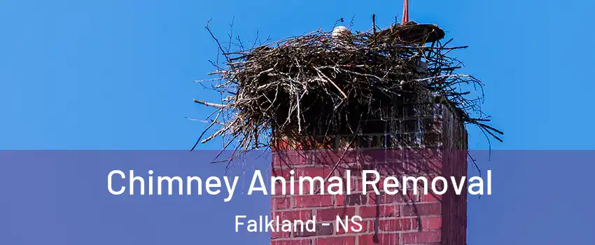 Chimney Animal Removal Falkland - NS