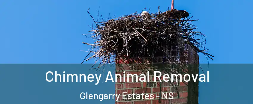 Chimney Animal Removal Glengarry Estates - NS