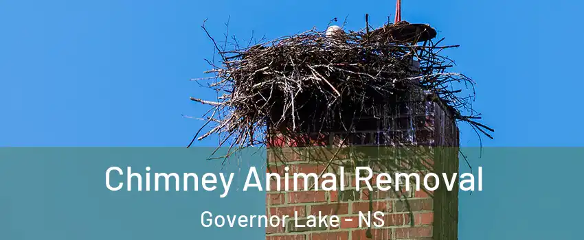 Chimney Animal Removal Governor Lake - NS
