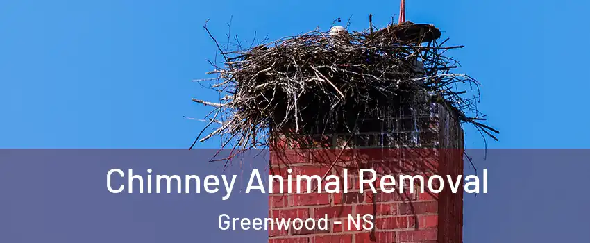 Chimney Animal Removal Greenwood - NS