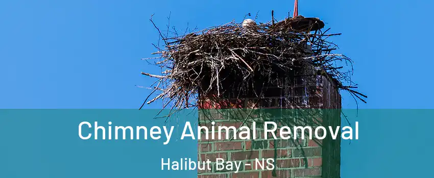 Chimney Animal Removal Halibut Bay - NS