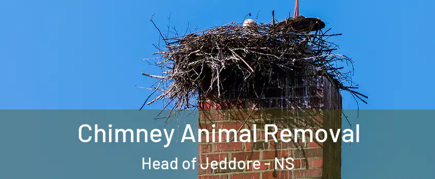 Chimney Animal Removal Head of Jeddore - NS
