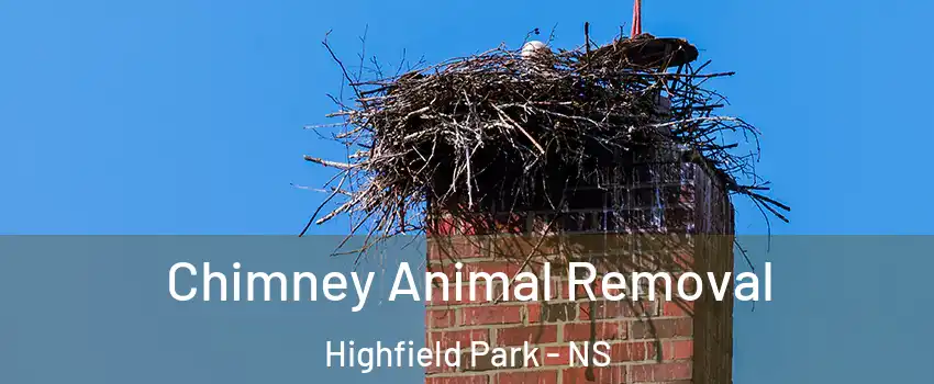 Chimney Animal Removal Highfield Park - NS