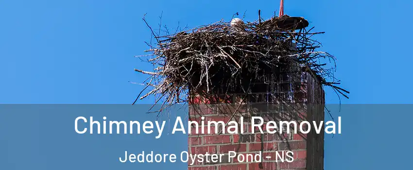 Chimney Animal Removal Jeddore Oyster Pond - NS