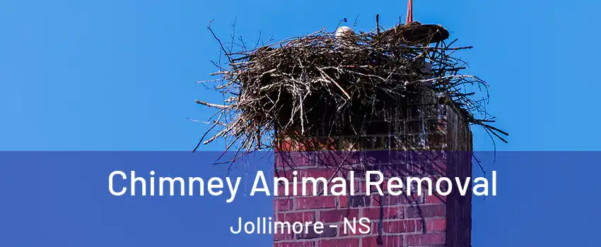 Chimney Animal Removal Jollimore - NS