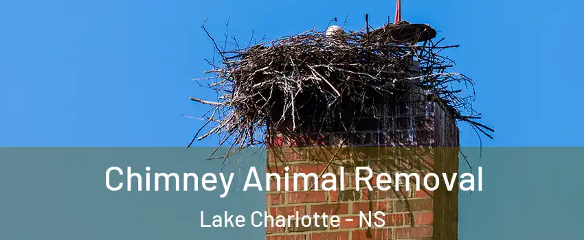 Chimney Animal Removal Lake Charlotte - NS