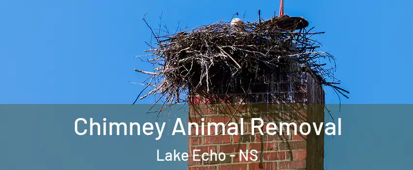 Chimney Animal Removal Lake Echo - NS