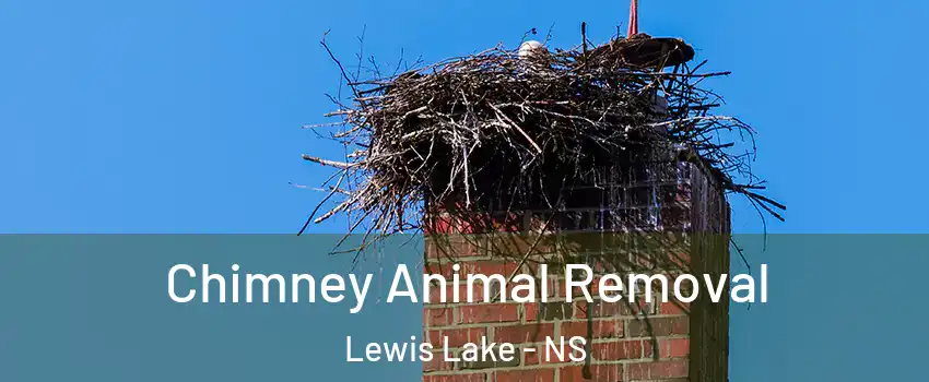 Chimney Animal Removal Lewis Lake - NS