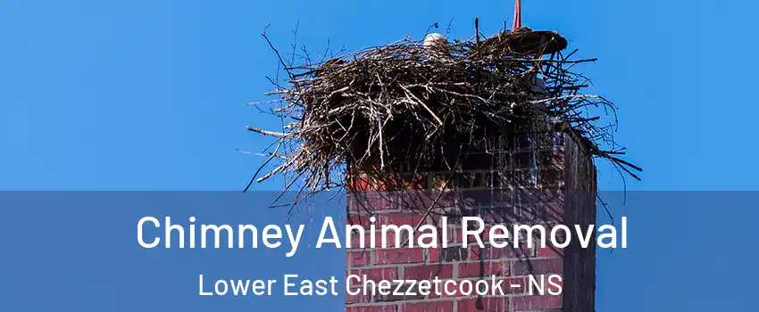 Chimney Animal Removal Lower East Chezzetcook - NS