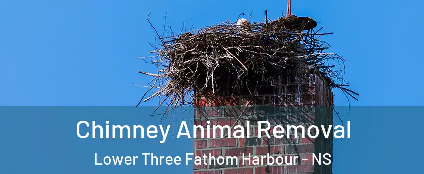 Chimney Animal Removal Lower Three Fathom Harbour - NS