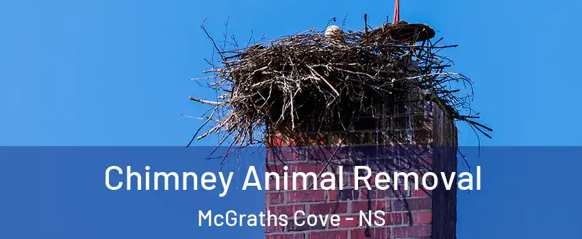 Chimney Animal Removal McGraths Cove - NS
