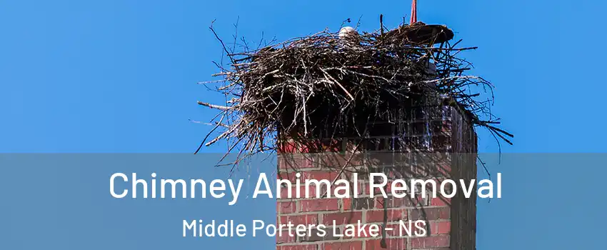 Chimney Animal Removal Middle Porters Lake - NS