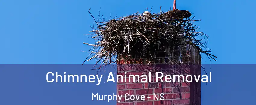 Chimney Animal Removal Murphy Cove - NS