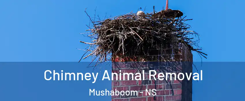 Chimney Animal Removal Mushaboom - NS