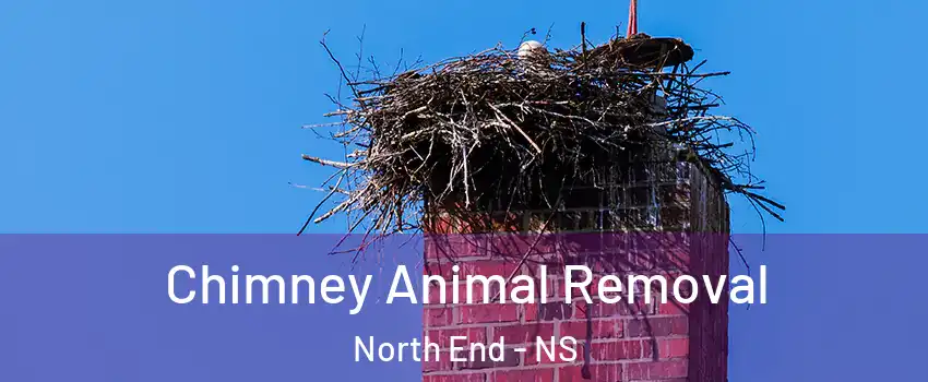 Chimney Animal Removal North End - NS