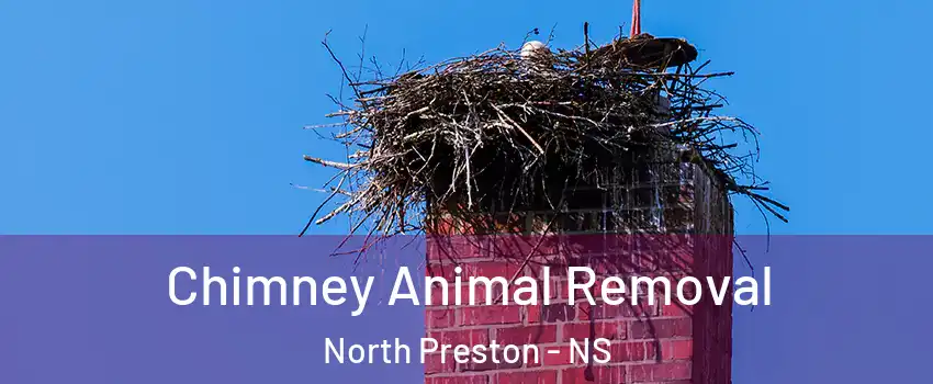 Chimney Animal Removal North Preston - NS