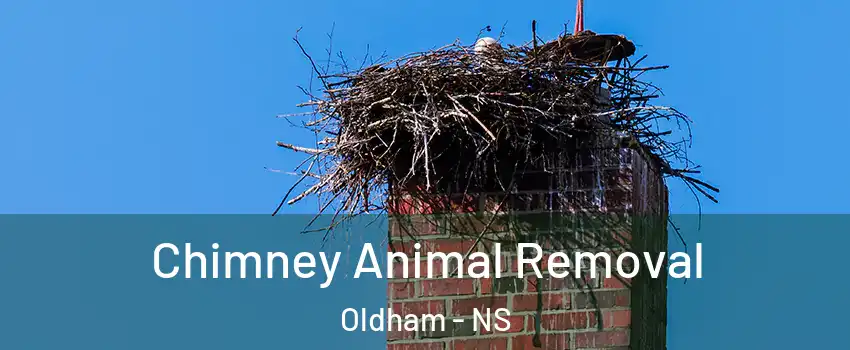 Chimney Animal Removal Oldham - NS