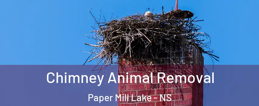 Chimney Animal Removal Paper Mill Lake - NS