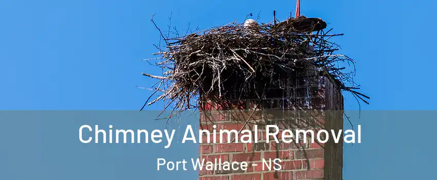 Chimney Animal Removal Port Wallace - NS
