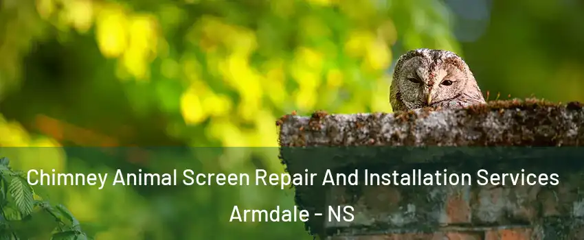  Chimney Animal Screen Repair And Installation Services Armdale - NS